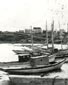 Cap-Lumière wharf, Richibouctou-Village, N.B., circa 1910