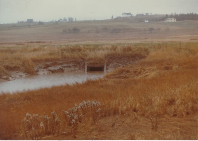 Un aboiteau de l'Anse-des-Cormier, près de Memramcook, à marée haute